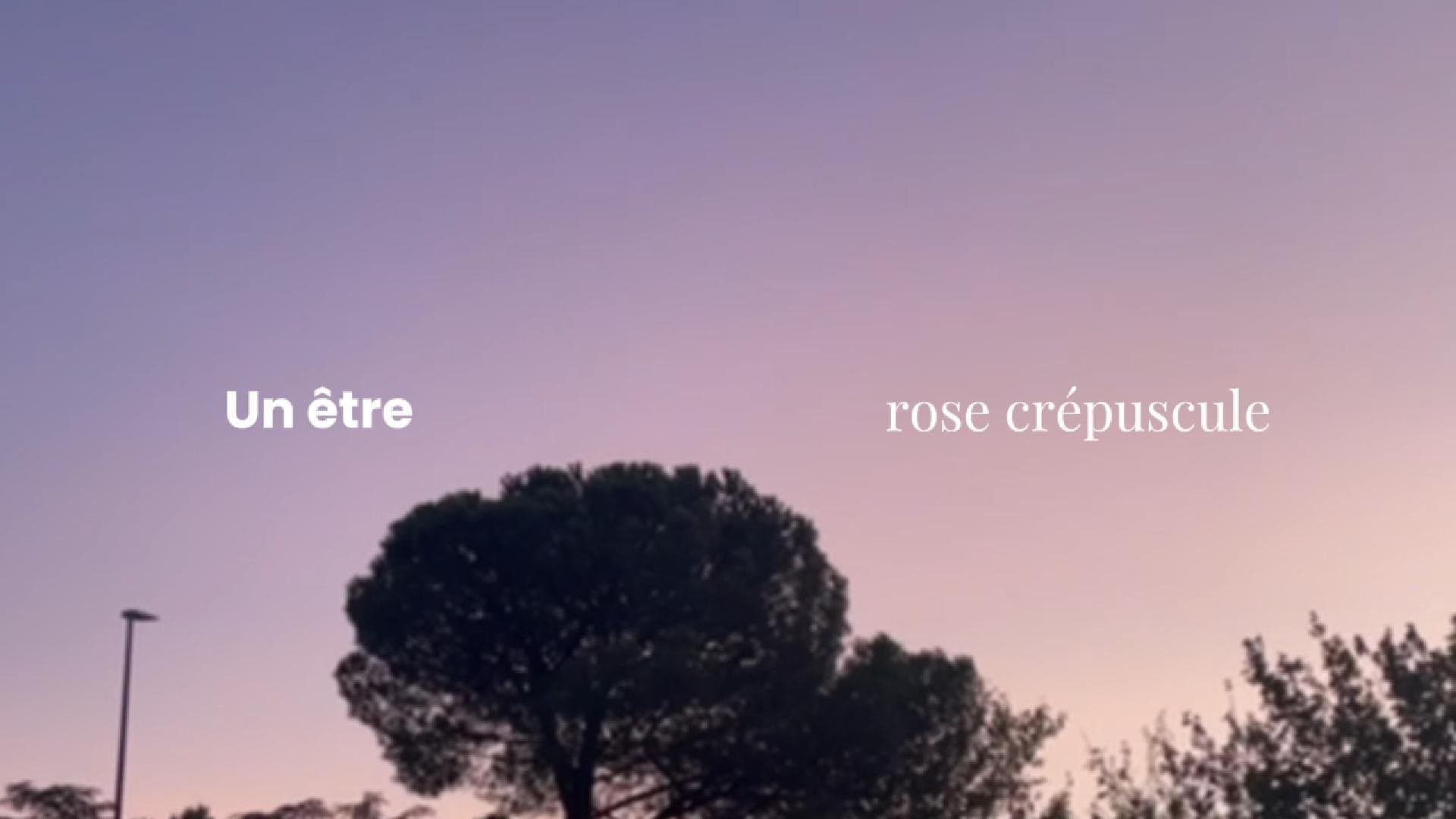 Un Être Rose Crépuscule