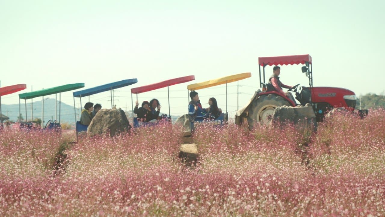 세하별