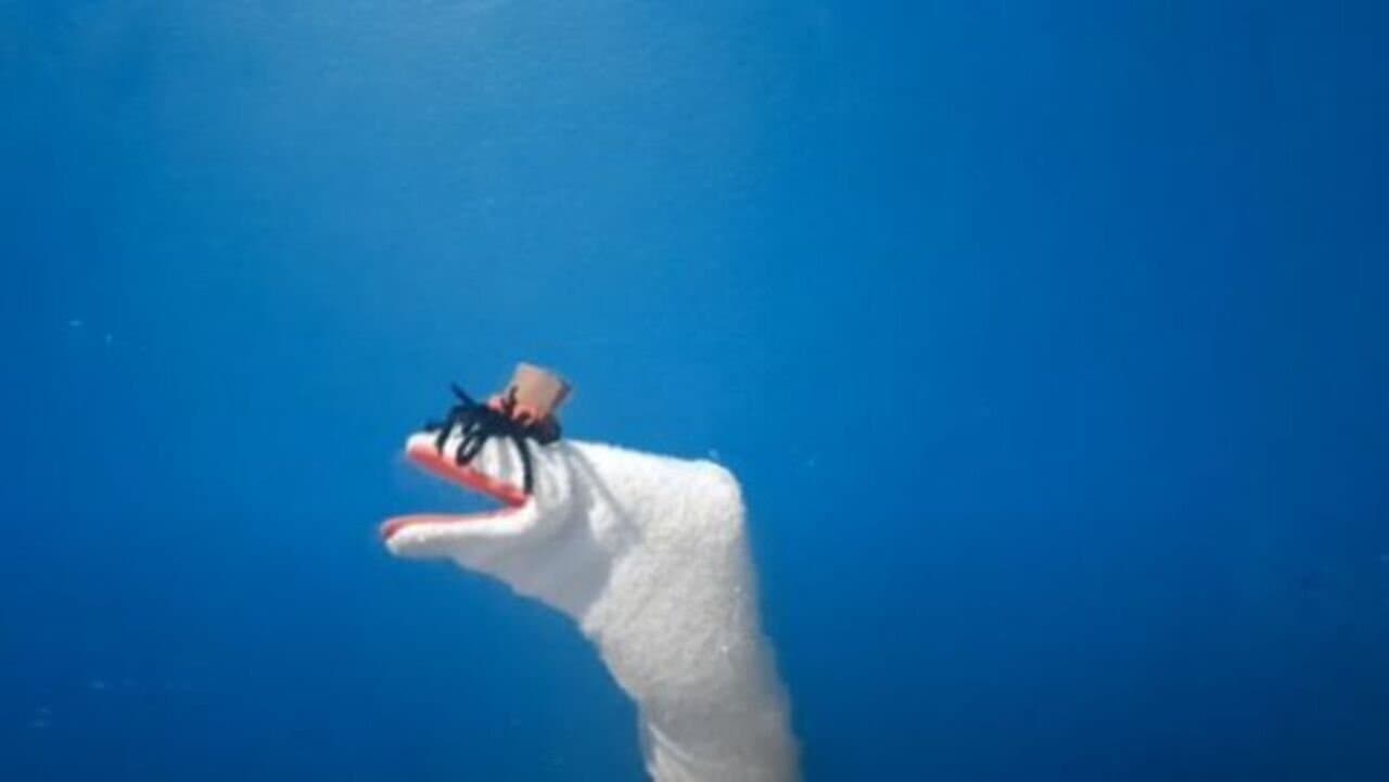 Galhos de árvores às vezes não são perfeitos