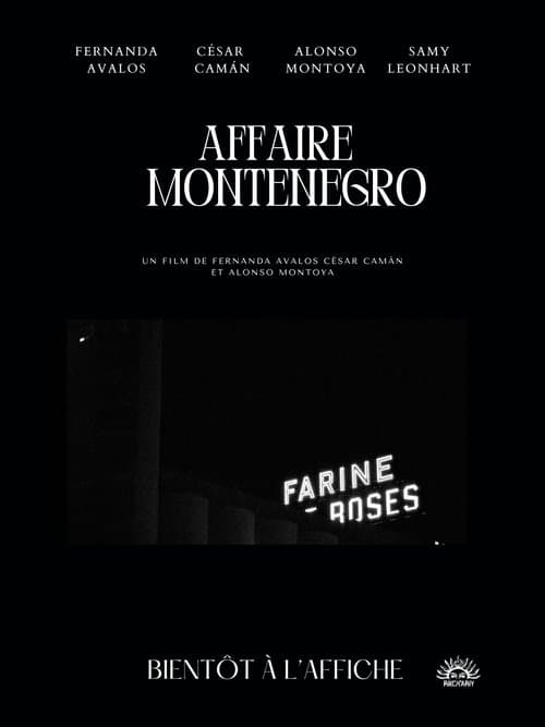 The Montenegro Affair